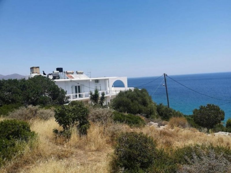 Ammoudara bei Agios Nikolaos Kreta, Ammoudara: Grundstücke in unmittelbarer Meeresnähe bei Agios Nikolaos zu verkaufen Grundstück kaufen